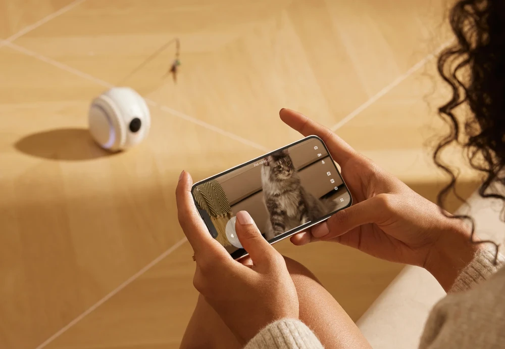 best indoor camera for pets