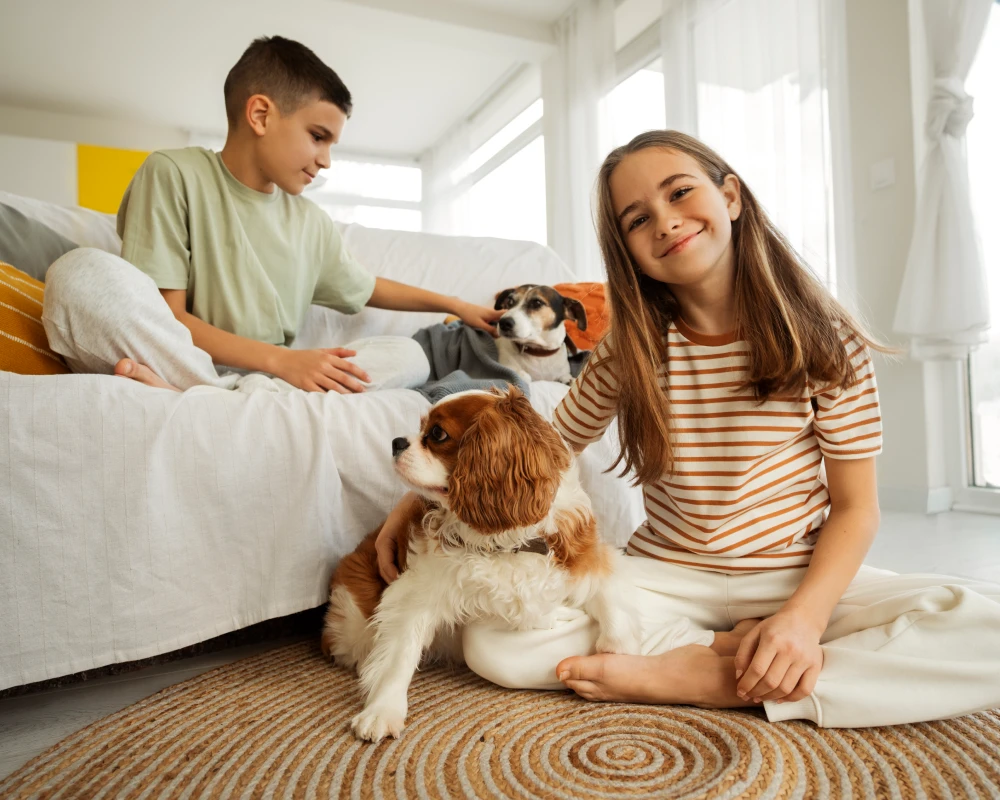 automatic dog feeder station