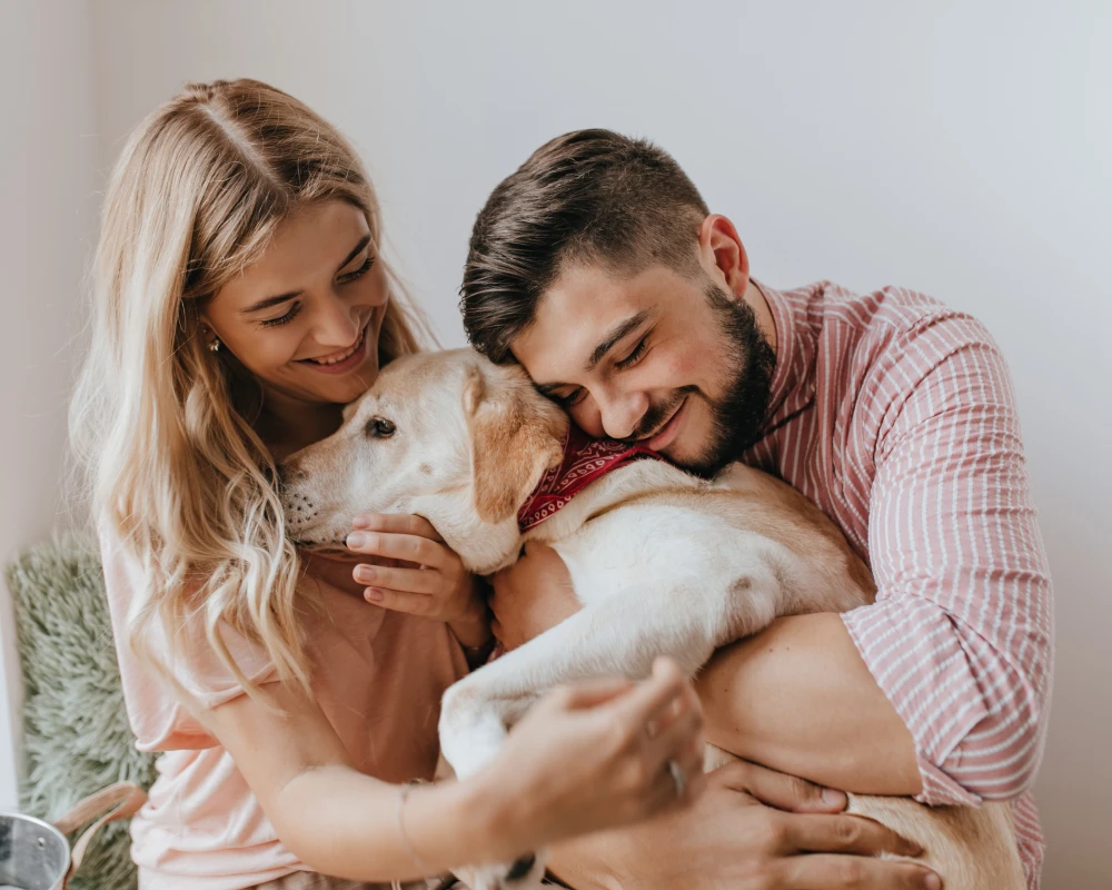 cat automatic pet feeder